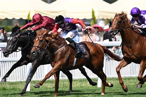 King George V Stakes 2023 Result .